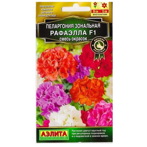 ������ ������ ������ ��������� ������ ���������� �������� F1, ����� �������, 5 ��. ����