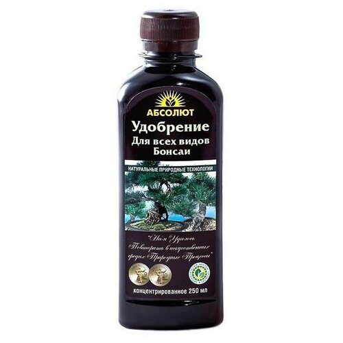 ������ ������ ��������� ������� ��� ������, 0.25 � ����