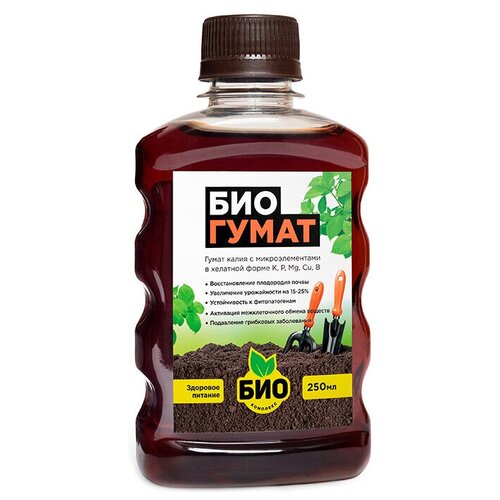 ������ ������ ��������� ���-�������� ��������, 0.25 �, 250 �, 1 ��. ����