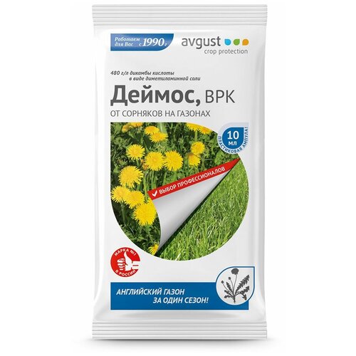 ������ ������ Avgust �������� �� �������� �� ������� ������, 10 �� ����