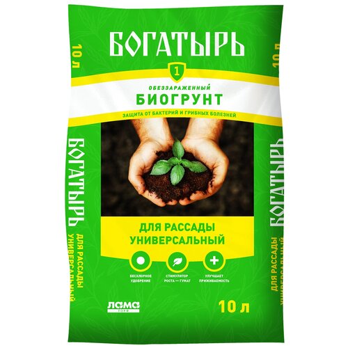 ������ ������ �������� �������� �������� ��� ������� ������������� ����