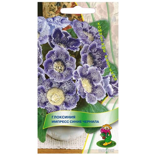 ������ ������ ������ ����� ��������� ������� ����� ������� 5 ��. ����