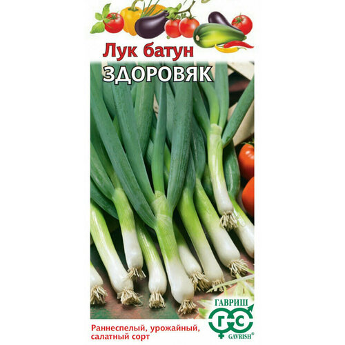 ������ ������ ������ ��� ����� ��������, 0,5�, ������, ������� ���������, 10 �������� ����