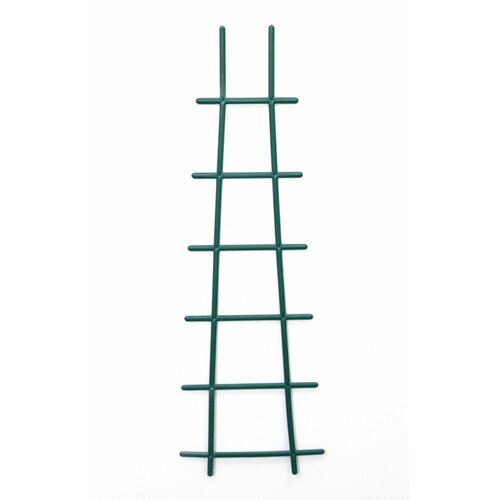 ������ ������ ������� ��� ������ ������� 56�� ������� /10 � ����