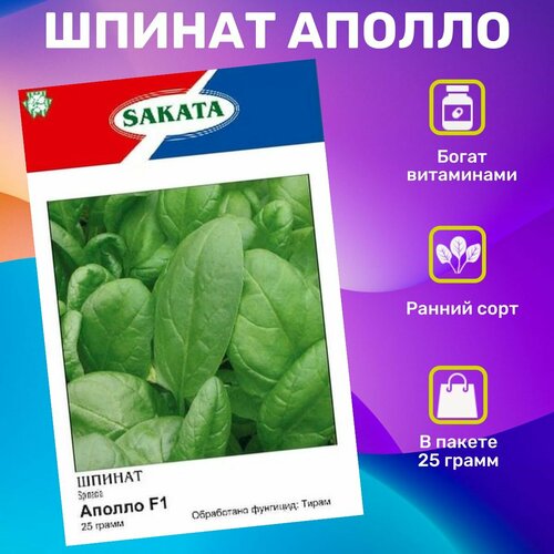 ������ ������ ������ ������ ������ 25 �����. ���������� �������� ����