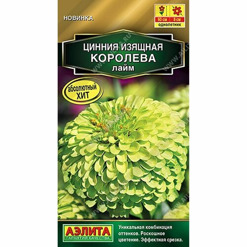 ������ ������ ������ ������ �������� ����, ����������, (������) 5�� ������� ����� ����