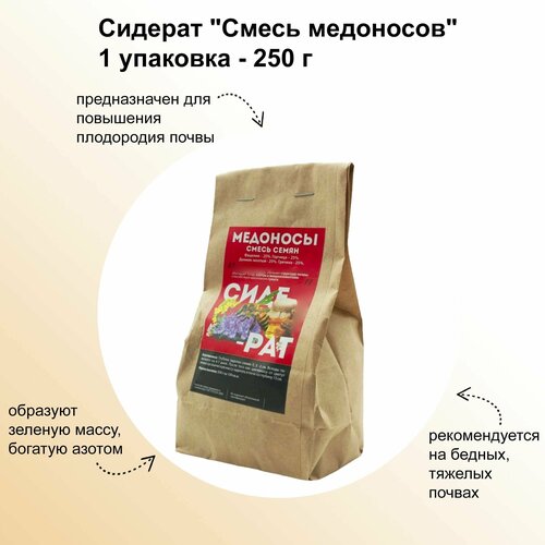 ������ ������ ������� 