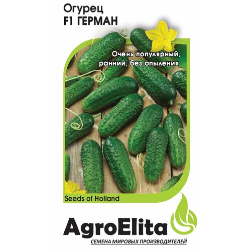 ������ ������ ������ ������ ������ F1, 5��, AgroElita, Seminis ����