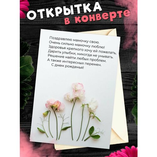 ������ ������ �������� �6 � �������� � ���� ��������, ����! ����