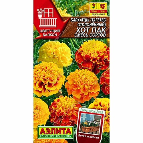 ������ ������ ������ �������� ��� ���, ����� ������, ����������, (������) 5�� �������� ������ ����