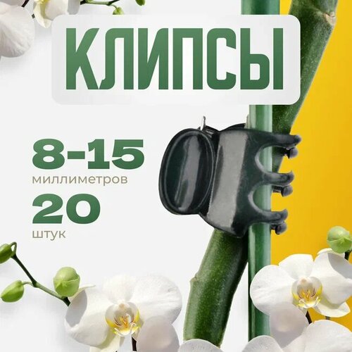 ������ ������ ����������� ������ ��� ������� ������ 8-15�� 20�� ����