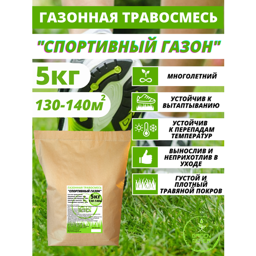 ������ ������ ����� �������� ������, ������ ������ 5 �� ����