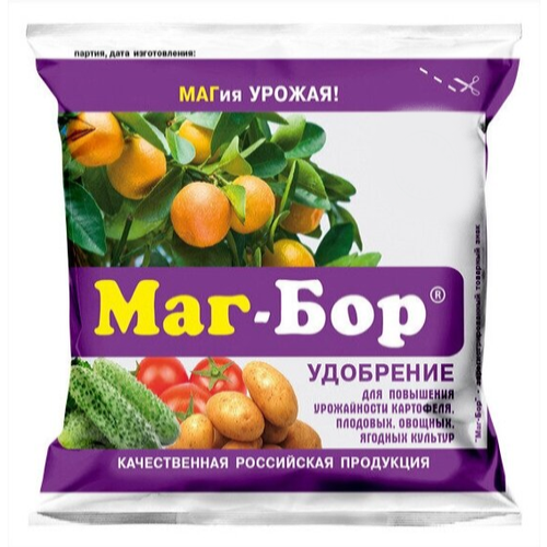 ������ ������ 3 �������� ���- ���, ��������� ������������� ��������������, 200�� ����