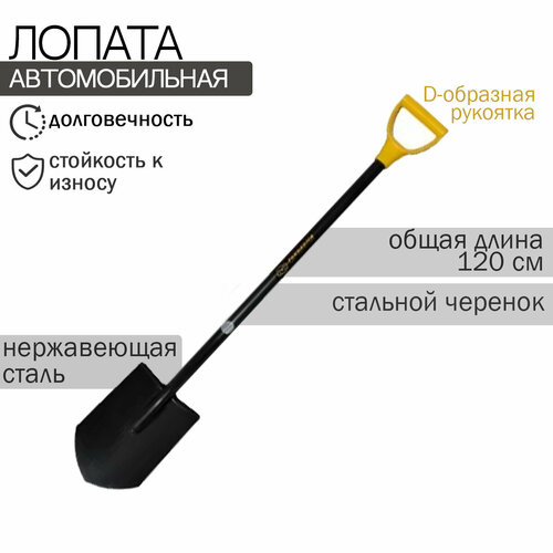 ������ ������ ������ �������� 