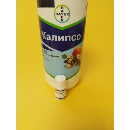 ������ ������ ���������� ������� 10 �� ����