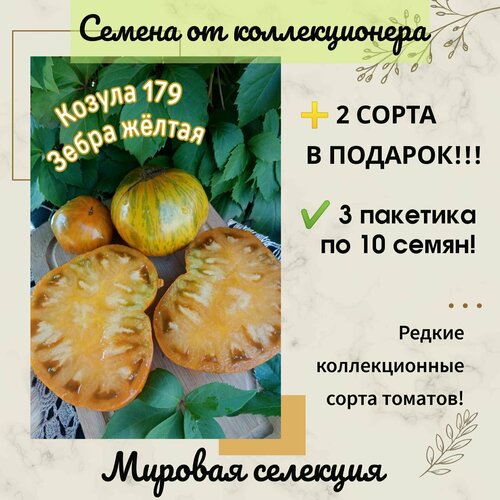 ������ ������ ����� ������ 179 ����� �����, ������� ��������, ������������� ����, ���������������� ����