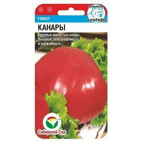 ������ ������ ����� ������ ��������� ��� (1 ��������-20�� �����) ����