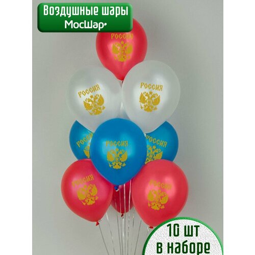 ������ ������ ��������� ���� �� ���� ������ �������� �������� - 10�� ����