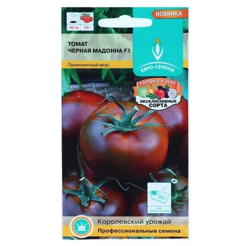 ������ ������ ������ ����� 