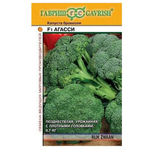 ������ ������ ������. ������� �������� 