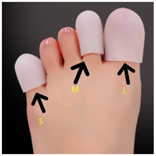 ������ ������ ����������� ����������� �� ������ ��� ������ M (2��) ����