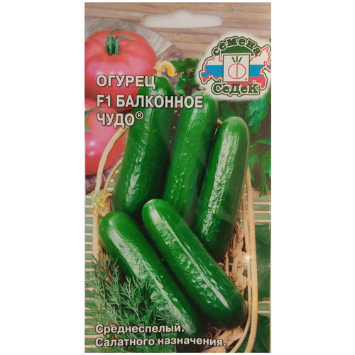 ������ ������ ������ ������ ��������� ���� F1, 0,2 �� ����