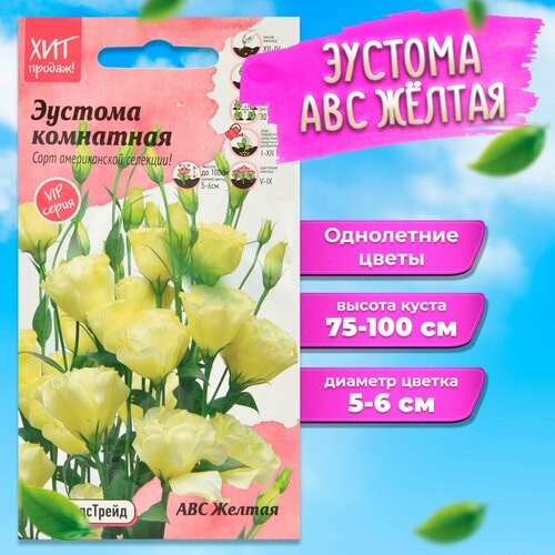 ������ ������ ������� ������ ������ �����������, ������� ��������� ����