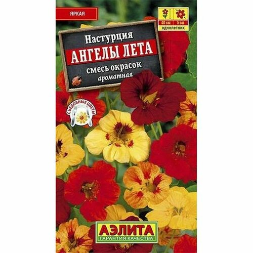 ������ ������ ������ ��������� ������ ����, �����, ����������, (������) 1� ����