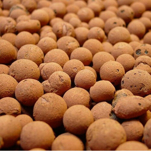 ������ ������ �������� ������ 15� ����