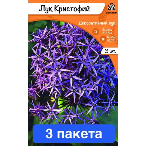 ������ ������ ��� ������������ (������) ��������� 3 �������� 3 ������ ����