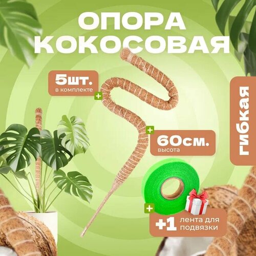 ������ ������ ��������� ����� ��� �������� ������, 60��, 5�� ����