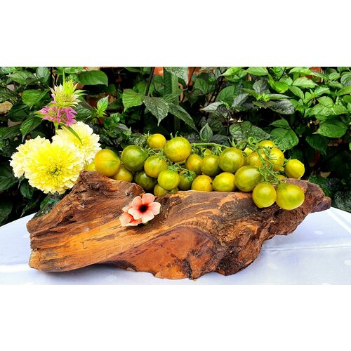 ������ ������ ������ ������ ���� ����� (Dwarf Grinch) / Seeds And Goods / � �������� zip-lock ��� ���������� 10 ����� ����