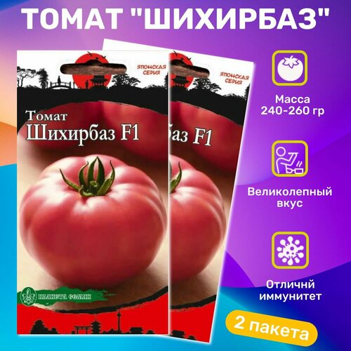 ������ ������ ������ ������ �������� F1 ����