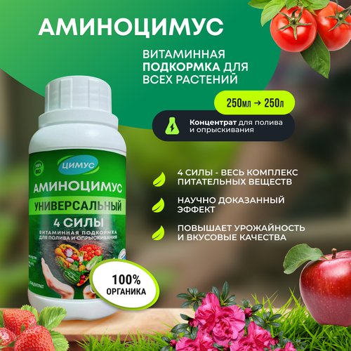 ������ ������ ���������� - ������������� �������� ��������� ��� ������ � ������������ �������� 250 �� ����