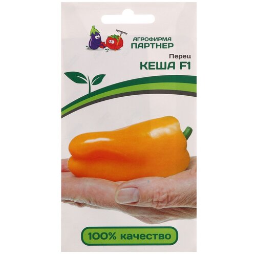 ������ ������ ������ ����� 