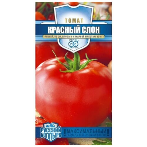 ������ ������ ������ ����� ������� ���� ����