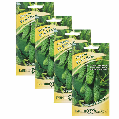 ������ ������ ������ ������ ����� F1 10 ��. (������) , 4 ������ * 10 �� ����