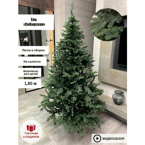 ������ ������ ������������� ���� 