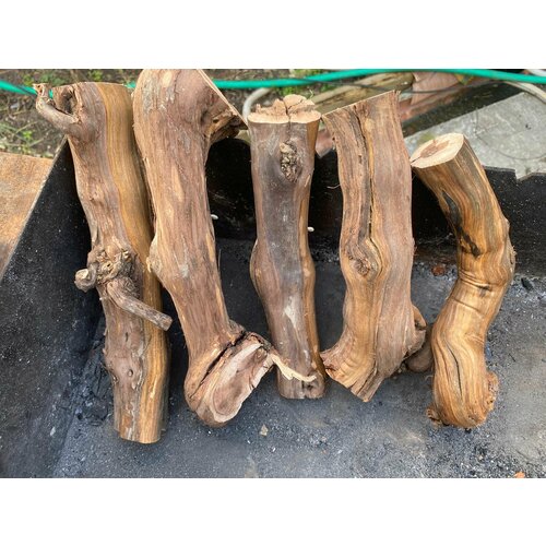 ������ ������ ����� ����������� ���� 10��. ����