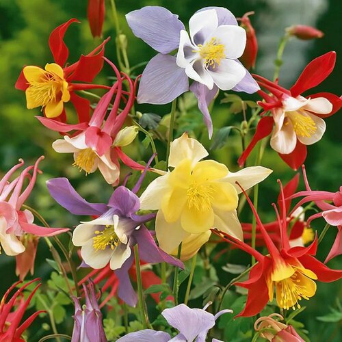 ������ ������ �������� (���������) ��������� ������, ����� 0.1 ������ ����� ������� ������ ����