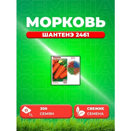 ������ ������ ������� ������� 2461, �������, 300�� ����