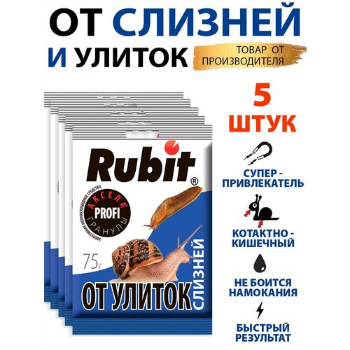 ������ ������ �������� ������ �������� �� ������ � ������� 5�75� ����