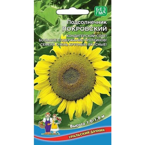 ������ ������ ������������ ���������� 5�, ��������� ������ ����