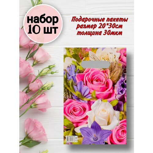 ������ ������ ����� ���������� ��������� ����� ��� �������� 10 ��. ����