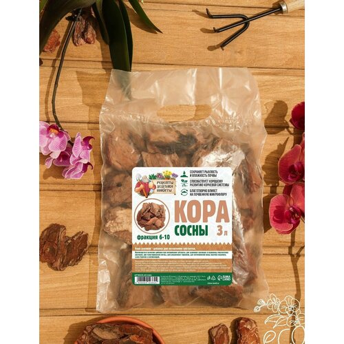 ������ ������ �������� ���� �������� ������� ������� (3 �����) ����