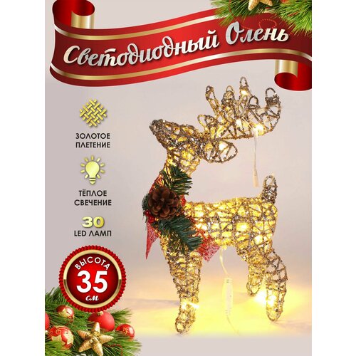 ������ ������ ����� ���������� ������������ ���������� 30 �� ������� ����