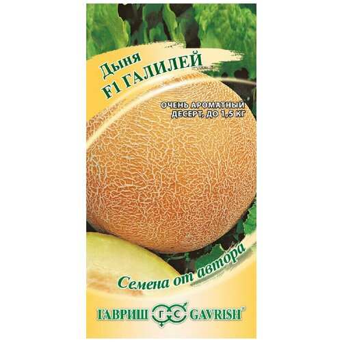 ������ ������ ������ ���� ������� F1, 15��, ������, ������ �� ������ ����