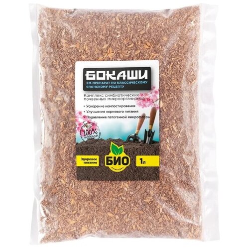 ������ ������ ��������� ���-�������� ������ 1� ����