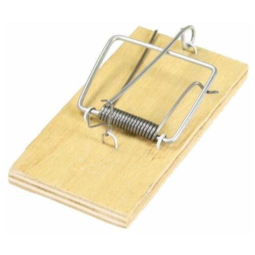 ������ ������ ��������� ���������� ����