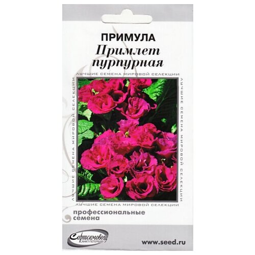 ������ ������ ������� �������, ���������, 4 ����� ����